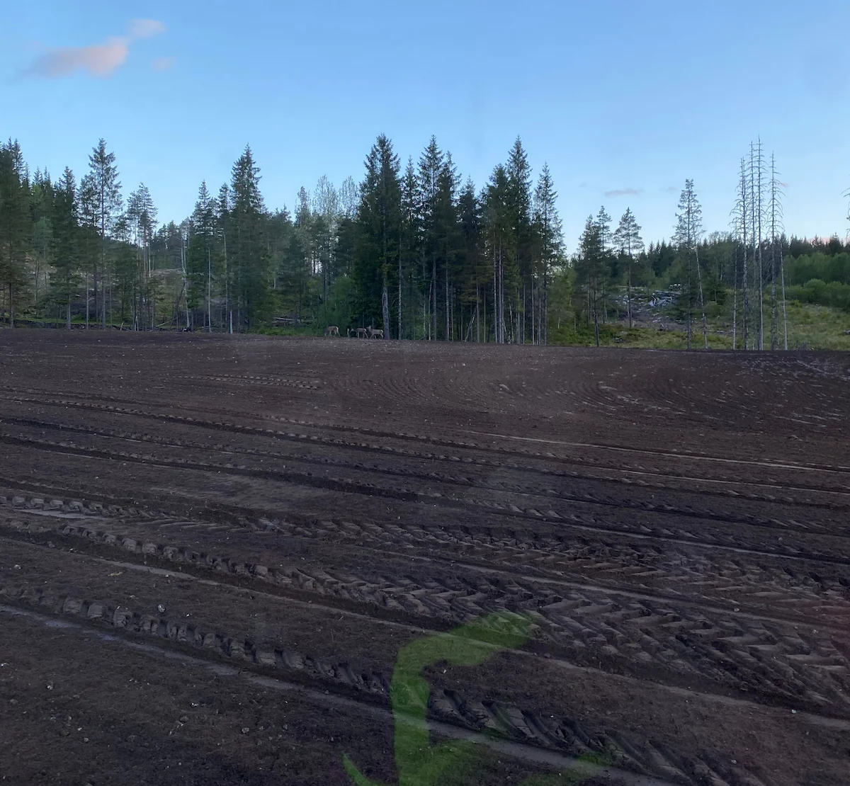 Steinfresing i Åbergsdalen – frå steinrik mark til dyrkbar jord